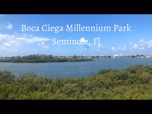 Dog Park at Boca Ciega Millennium Park photo 2